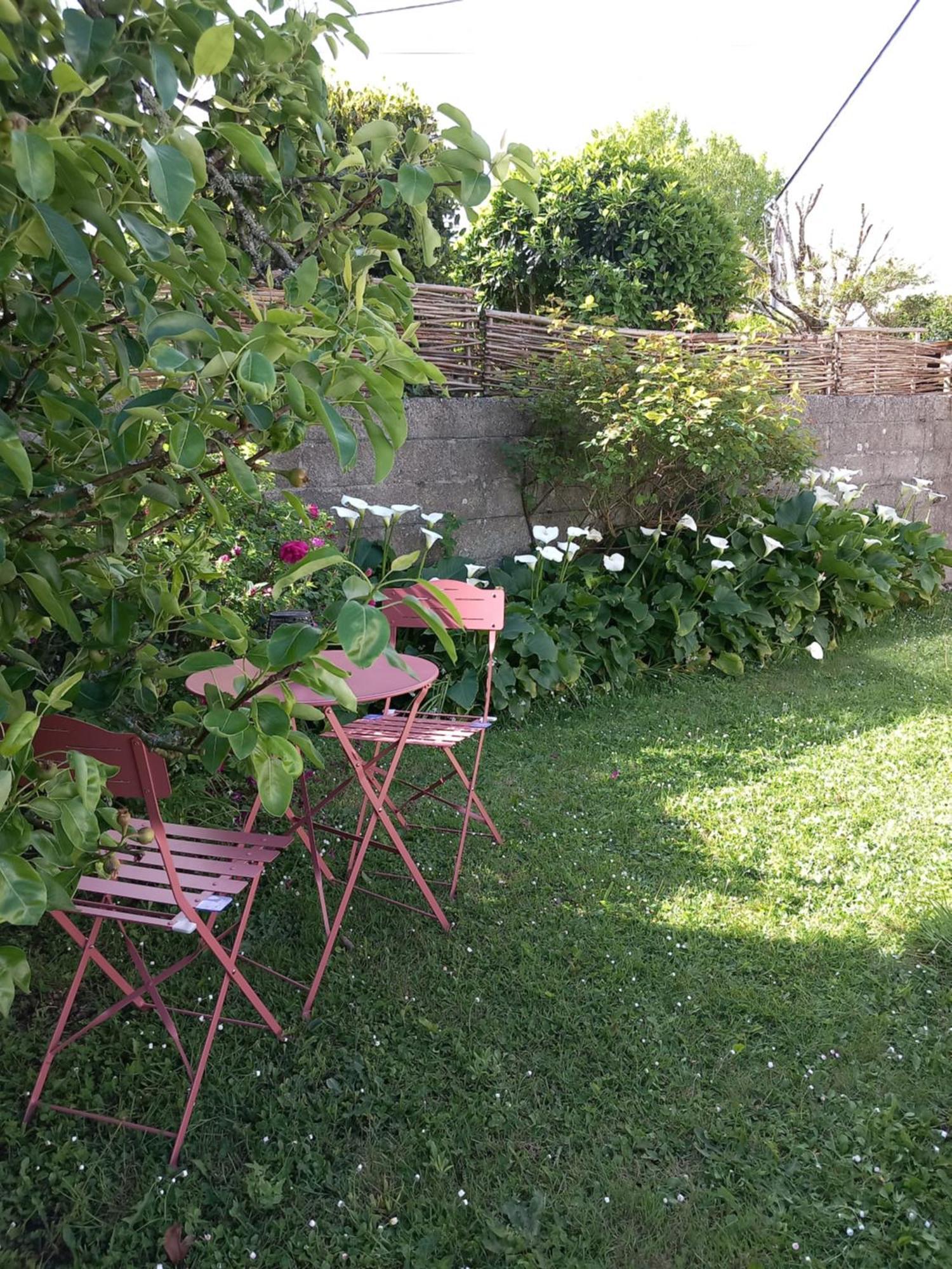 Maison 3 Etoiles Proche Des Plages Pont-lʼAbbé Exteriör bild